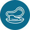 Grünlippmuschel Icon