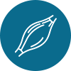 MSM Icon